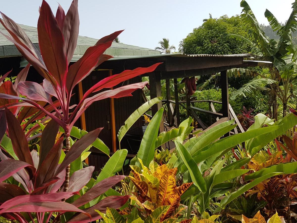 מאריגוט Hibiscus Valley Inn מראה חיצוני תמונה