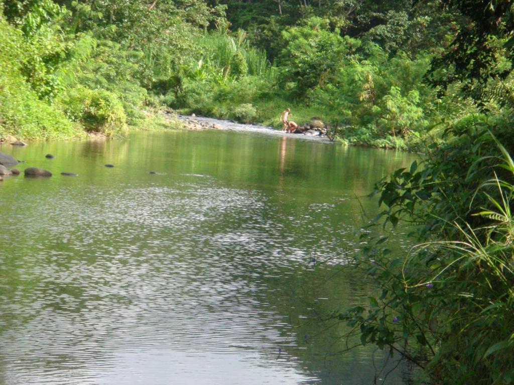 מאריגוט Hibiscus Valley Inn חדר תמונה