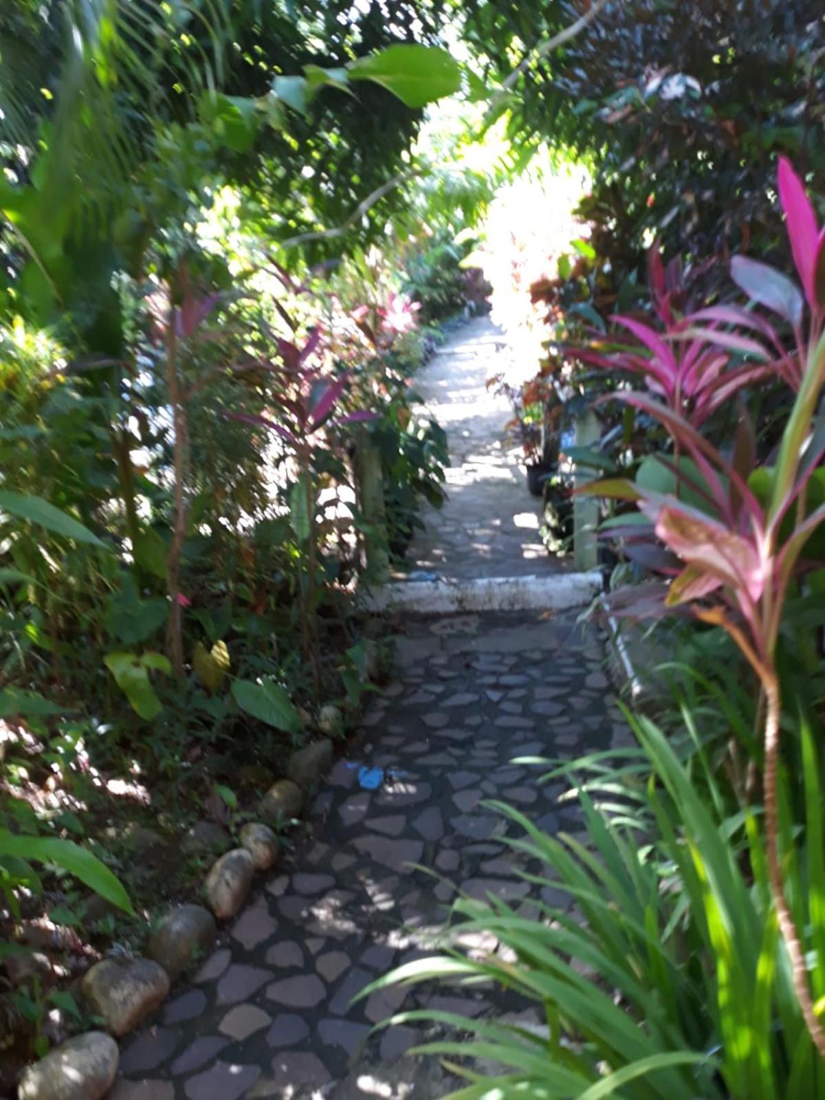מאריגוט Hibiscus Valley Inn מראה חיצוני תמונה