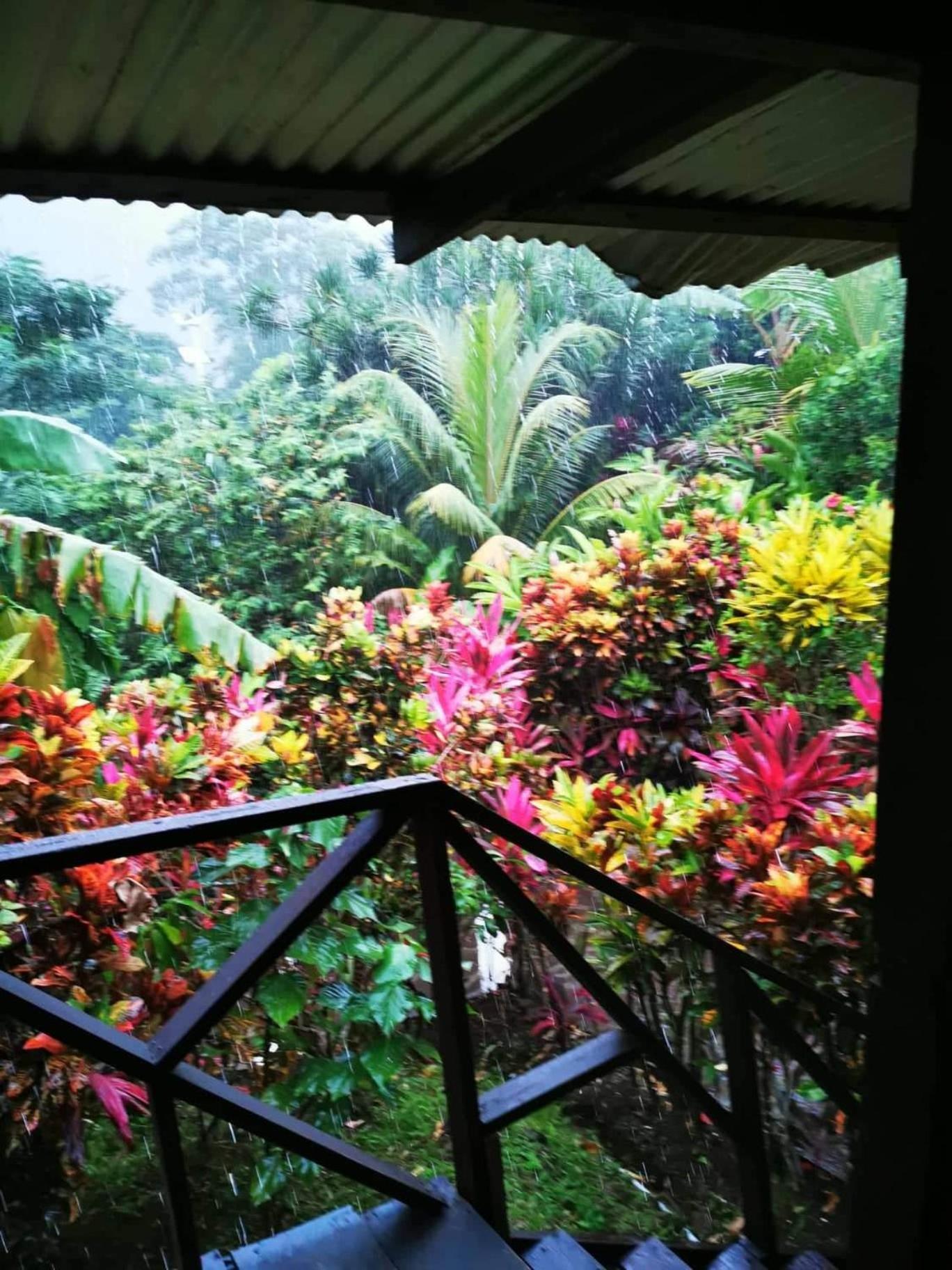 מאריגוט Hibiscus Valley Inn מראה חיצוני תמונה