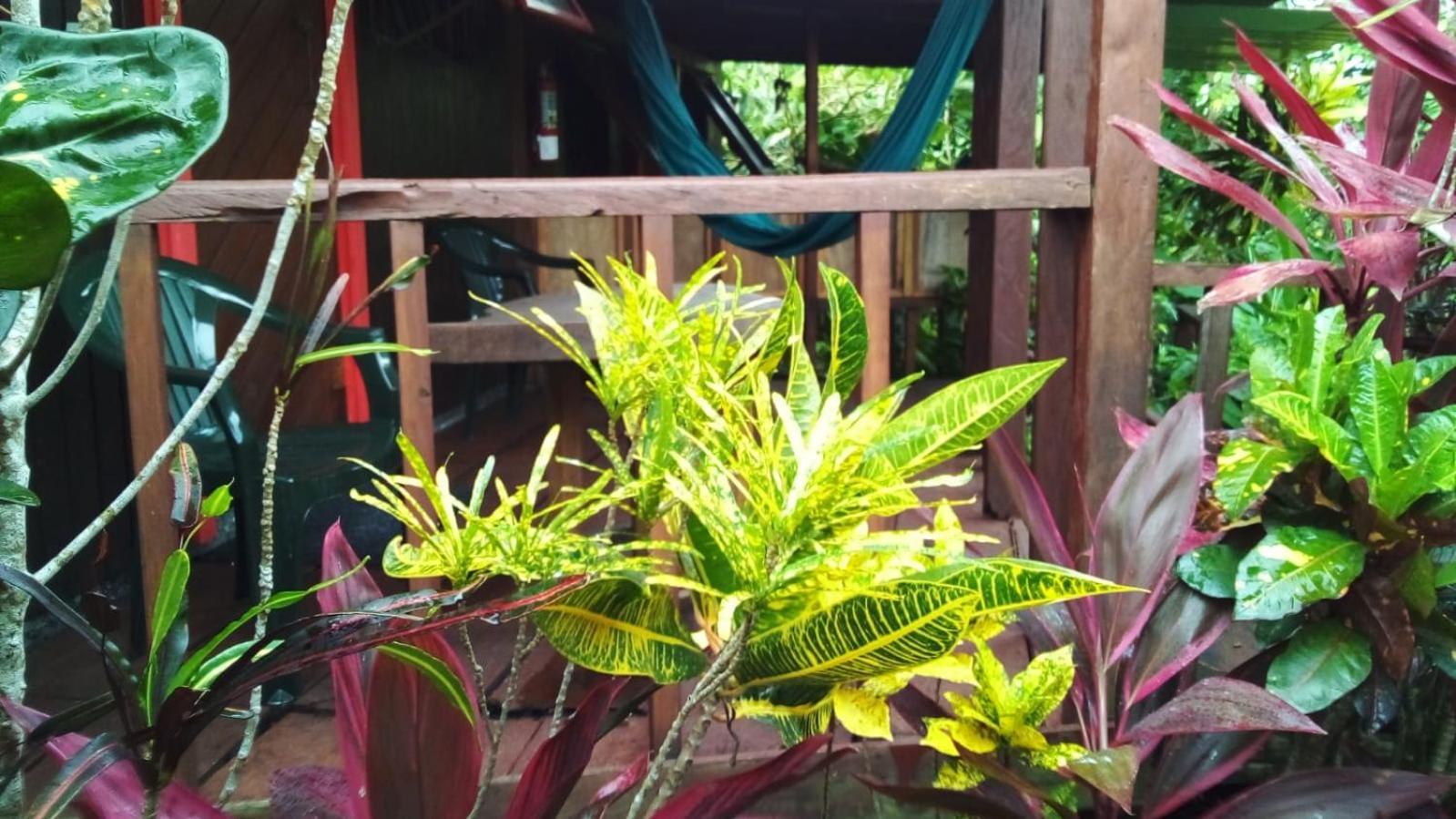מאריגוט Hibiscus Valley Inn מראה חיצוני תמונה