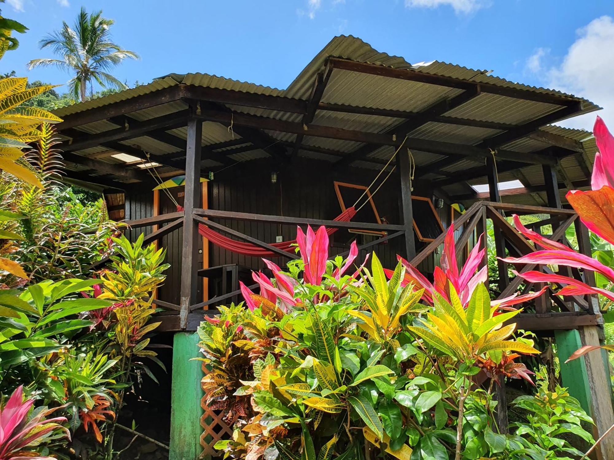 מאריגוט Hibiscus Valley Inn מראה חיצוני תמונה