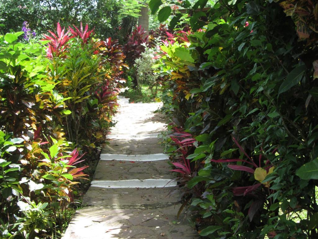 מאריגוט Hibiscus Valley Inn חדר תמונה