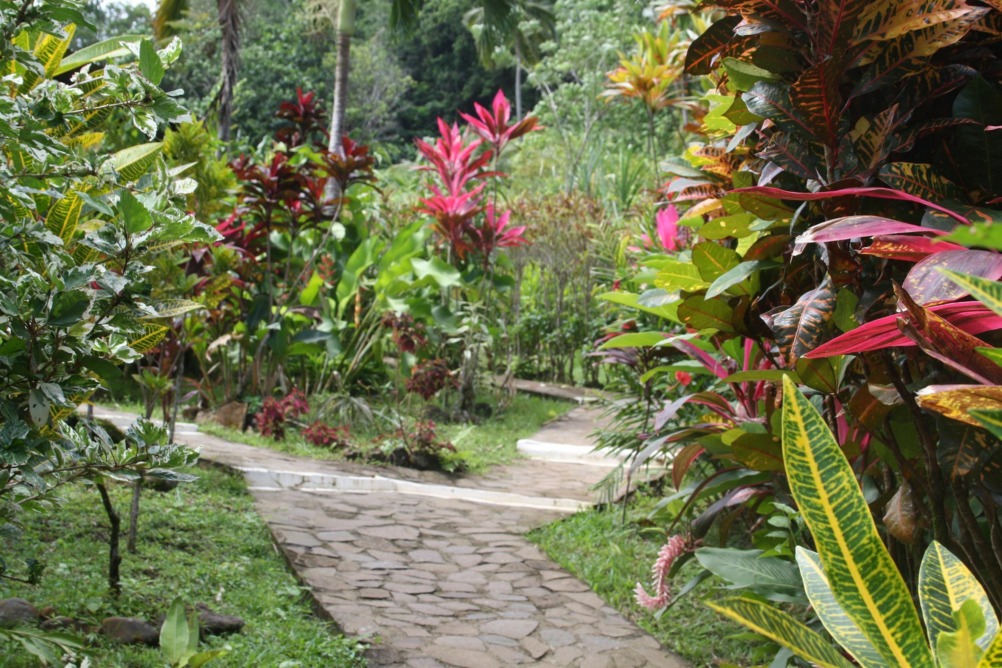 מאריגוט Hibiscus Valley Inn מראה חיצוני תמונה